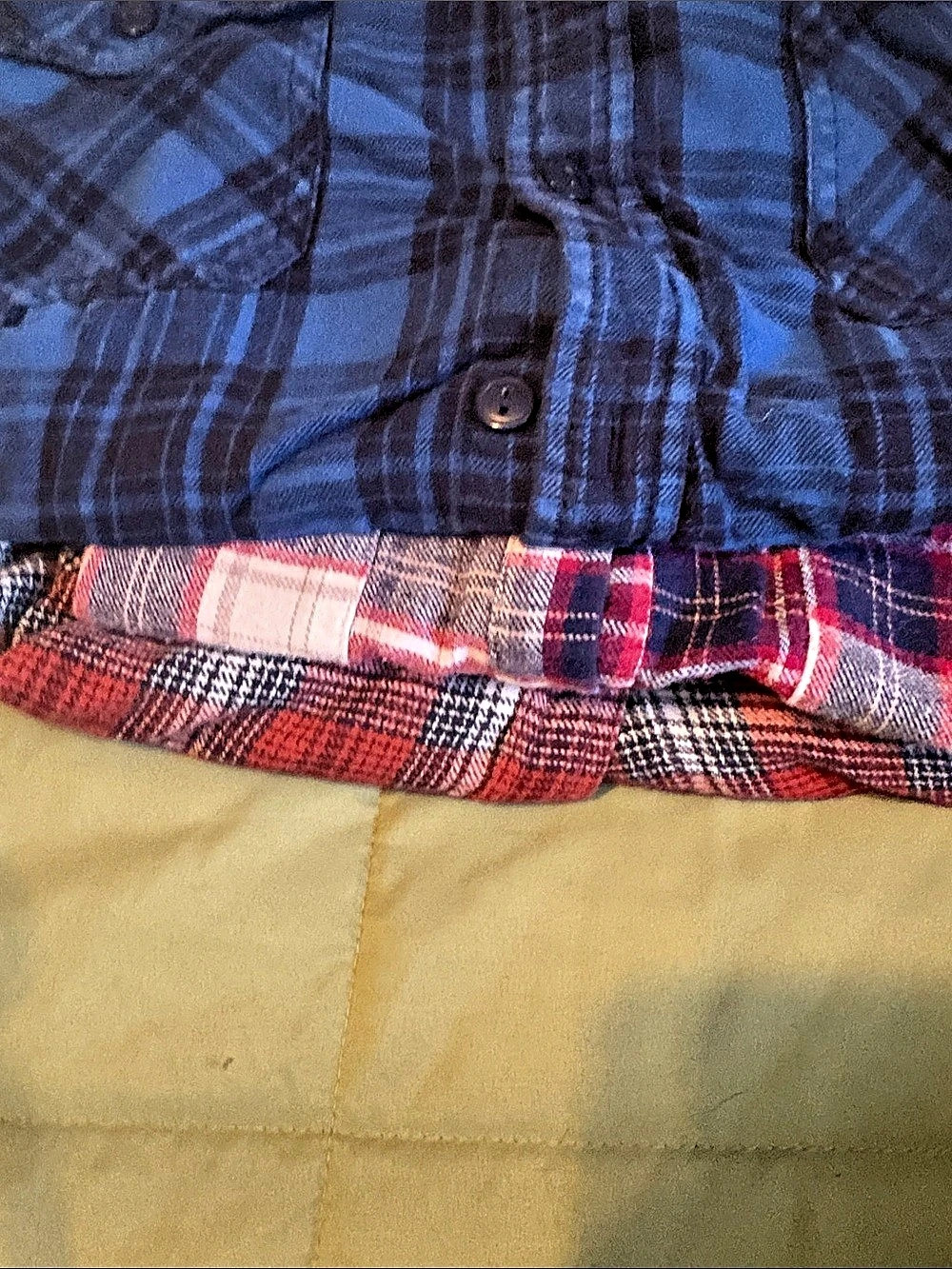 Plaid Button Down Shirt in Blue & Red